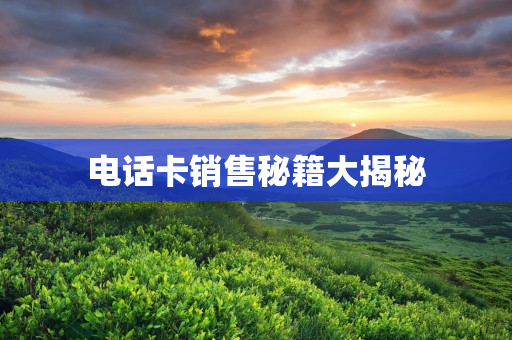 电话卡销售秘籍大揭秘