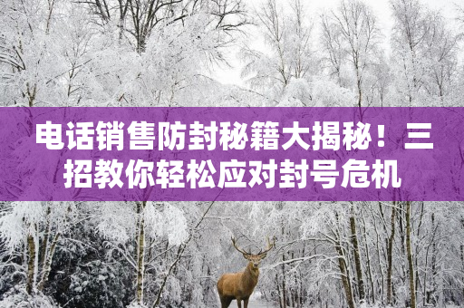 电话销售防封秘籍大揭秘！三招教你轻松应对封号危机