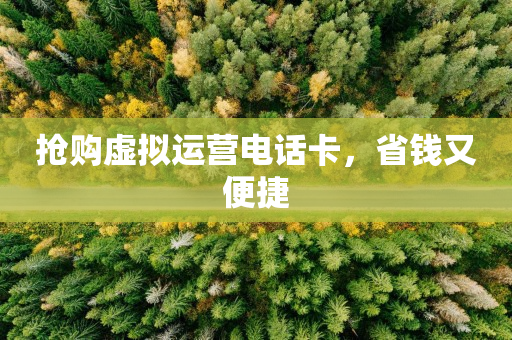 抢购虚拟运营电话卡，省钱又便捷