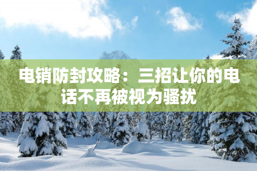电销防封攻略：三招让你的电话不再被视为骚扰