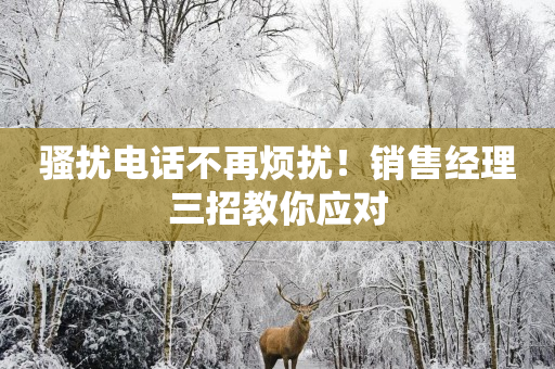骚扰电话不再烦扰！销售经理三招教你应对
