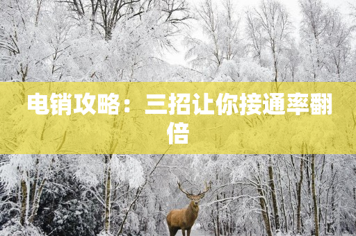 电销攻略：三招让你接通率翻倍