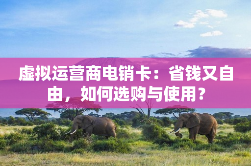 虚拟运营商电销卡：省钱又自由，如何选购与使用？
