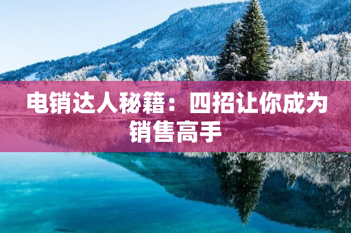 电销达人秘籍：四招让你成为销售高手