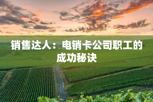 销售达人：电销卡公司职工的成功秘诀