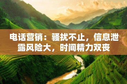 电话营销：骚扰不止，信息泄露风险大，时间精力双丧