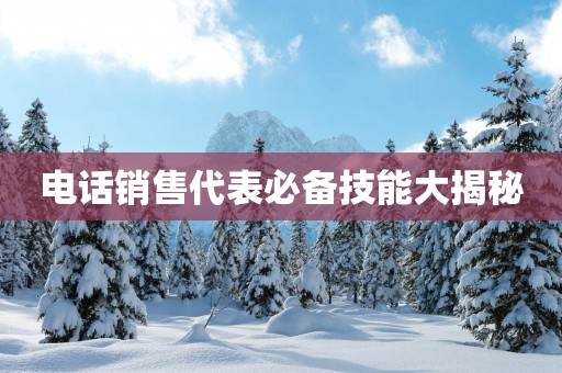 电话销售代表必备技能大揭秘
