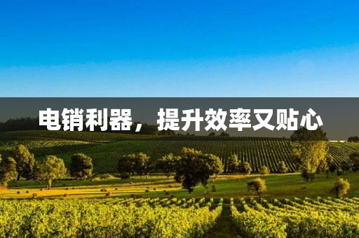 电销利器，提升效率又贴心