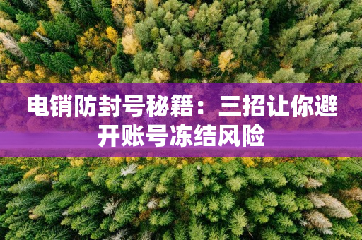 电销防封号秘籍：三招让你避开账号冻结风险